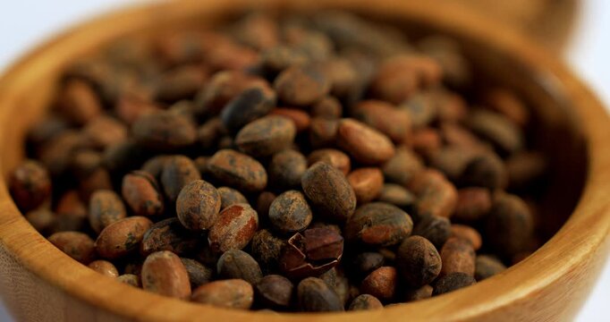 Jamalgota or Jayapala - Croton tiglium seed is an Ayurvedic medicine also known as purging croton