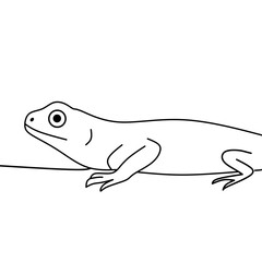 Simple lizard illustration in line art