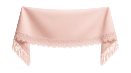 Soft pastel pink shawl with fringed edges and delicate lace trim.