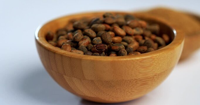 Jamalgota or Jayapala - Croton tiglium seed is an Ayurvedic medicine also known as purging croton