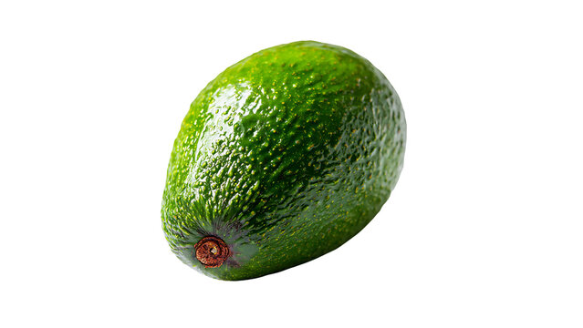 Single Ripe Avocado with Textured Green Skin on Black Background fruit food isolated on a transparent background - Powered by Adobe