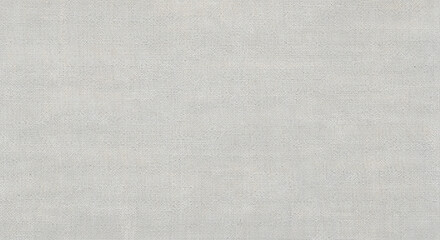 A detailed close-up of a light gray, finely woven fabric texture background.