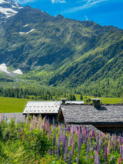 Refuge in the French Alps on a July Day