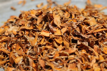 Dried turmeric root slices, a popular spice and natural remedy