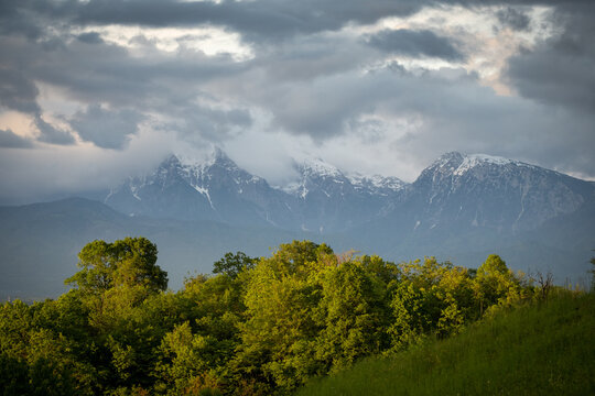 Kamnik alps in heavy clouds with forest in foreground