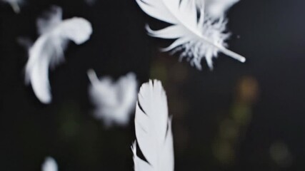 Graceful white feather floating gently in the air macro photography - Powered by Adobe