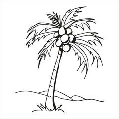 Palm tree vector line art white background