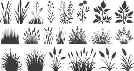 Diverse silhouettes of grass, reeds, bushes, and wild plants for decorative borders and natural design elements vector.