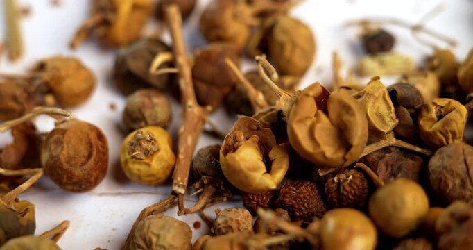 Ayurvedic Choti Kateli also known as Kantkari or Solanum Surattense dried and powder form