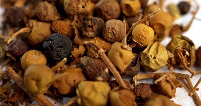 Ayurvedic Choti Kateli also known as Kantkari or Solanum Surattense dried and powder form