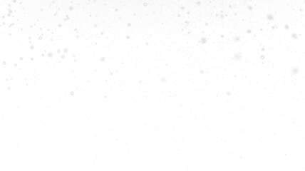 PNG Snow Overlay with White Transparent Background