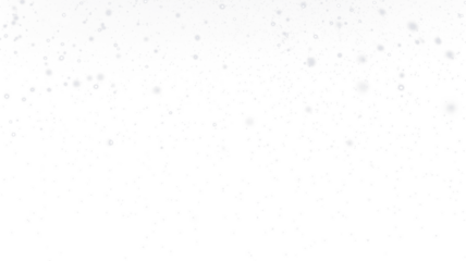 PNG Snow Overlay with White Transparent Background