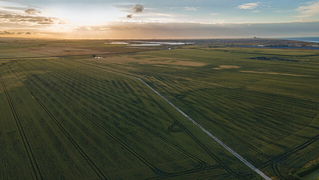 Aerial view of harvest