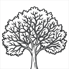 Tree outline coloring book page line art illustration