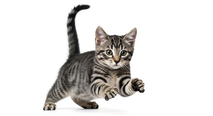 Playful tabby kitten caught mid-leap with bright eyes and striped fur