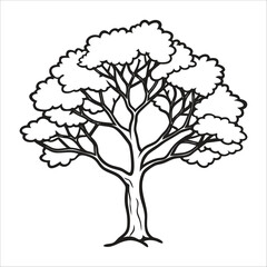 Fall tree outline coloring book page line art illustration