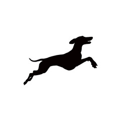 Silhouette of a graceful greyhound leaping against a clean white background