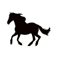 Black horse silhouette galloping on white background equestrian animal