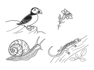 coloring page line art the bird black vector bundle