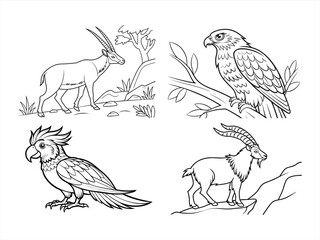 coloring page line art the bird black vector bundle