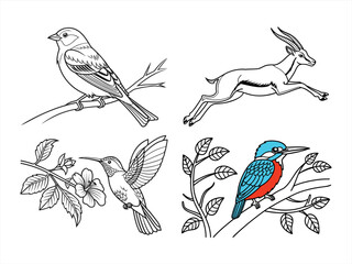 coloring page line art the bird black vector bundle