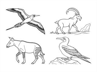 coloring page line art the bird black vector bundle