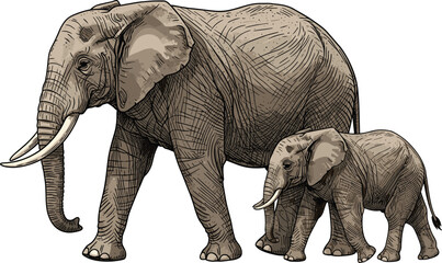 African Elephant Family Walking Together: Wildlife Conservation, Mammal Protection, Graphic Animal Illustration, Wildlife Safari, Endangered Species Awareness, Nature Education Design, Animal Care, Tr