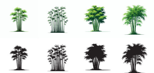 Vector and simple silhouette of bamboo tree on white background
