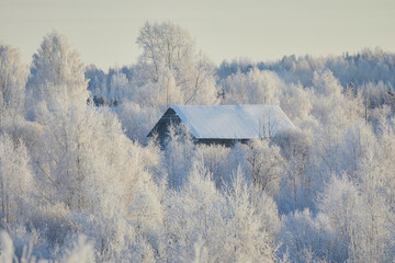 Village landscape with houses in snow and trees in frost in winter