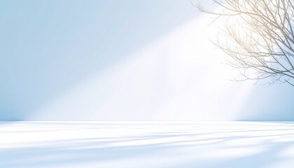 真冬の静寂の中、雪景色に柔らかな光が差し込むミニマルな冬の背景。繊細な木の枝と白い世界が広がる、クリーンで洗練された印象のビジュアル素材