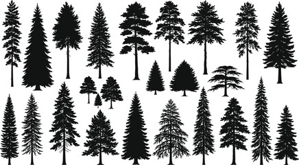 Conifer tree silhouette vector illustration, evergreen forest artwork, pine nature design, botanical woodland graphic, outdoor landscape element, cad drawing flat vector illustration