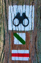 Znak graficzny na drzewie informujący o punkcie widokowym przy szlaku przyrodniczym. Drawieński Park Narodowy. © Pol Badger