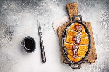 Katsu Crispy cutlet, perfectly breaded and golden brown, served with a side of rice and tangy sauce. A delicious Japanese classic that's hard to resist!. grey background. top view