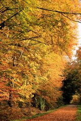 W jesiennym nastroju