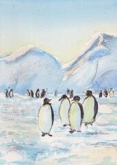 Pingkins on the shore near ice cliffs