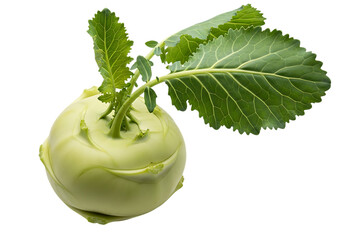 Fresh green kohlrabi vegetable with attached leaves isolated on transparent background