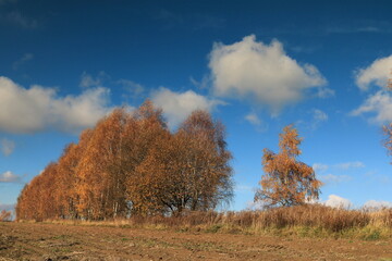 Jesień na polach © Ireneusz