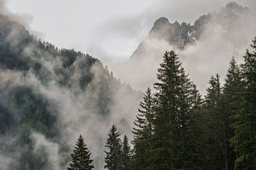 early morning foggy landscape inside Val San Nicolò, Pozza di Fassa, Dolomites, Italy