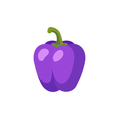 Purple bell pepper vegetable with green stem, isolated flat style vector illustration