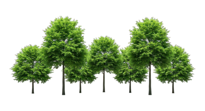 Seven green trees aligned side-by-side isolated on black
