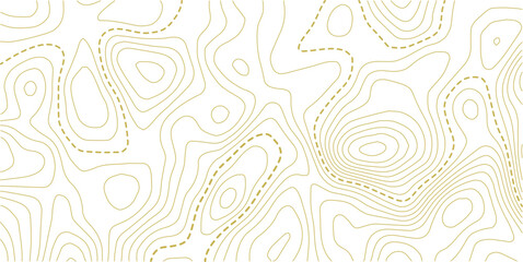 Vector illustration.Vector contour topographic map background. Topography and geography map grid abstract backdrop. Business concept. 
