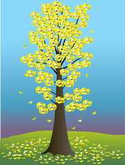 Ginkgo Tree