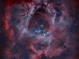 Rosette Nebula (NGC2237)