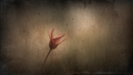 Naklejka premium Displaying tulip-like flower leaning in studio, with slender stem, textured backdrop, copy space
