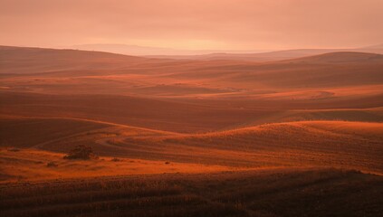 Rolling grassy hills stretching toward distant horizon at golden hour, with winding dirt track