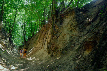 Wąwóz wąwóz lessowy Świętej Królowej Jadwigi w Sandomierzu – Polska
Wąwóz ma długość około półkilometrowy jest otoczony drzewami liściaste, które  w słoneczne dni dają zmieniającą się mozaikę plam św