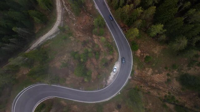 Top-down drone shot of a curved alpine road (hairpin/switchback) running through dense conifer forest in the Dolomites, Italy. Cars drive through the bend; clear summer daylight, 4K, steady movement.