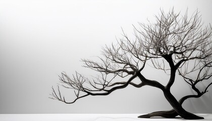 striking black branches create a modern minimalist aesthetic perfect for adding a touch of nature and tranquility to any design project or artistic creation