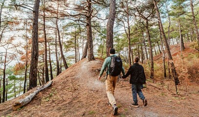 Father son half-day hike is all about getting fresh air and enjoying the forest trail. Casual, refreshing, easygoing walk. Well-trodden path winding up pine-covered hill for a short, scenic adventure.