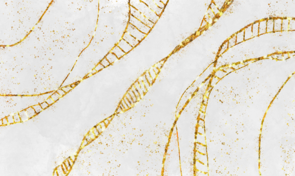 Abstract golden woven pattern on white background